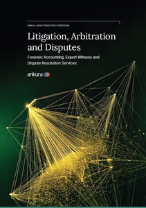 Litigation Arbitration and Disputes front cover image
